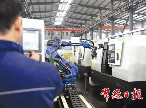 引金融活水，潤產業之花——常德財政推動非融資性擔保服務高質量發展